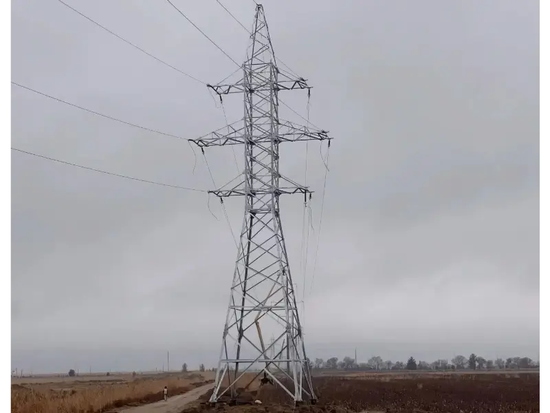 Mao Tong의 고객 피드백